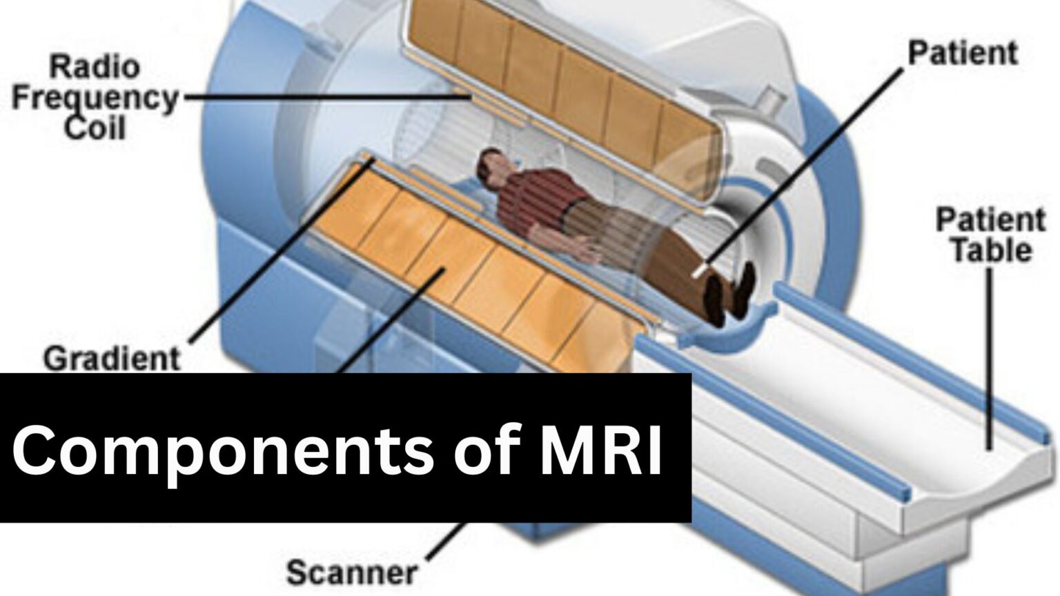 MRI Machine The Most Important Components. CTMRIHUB